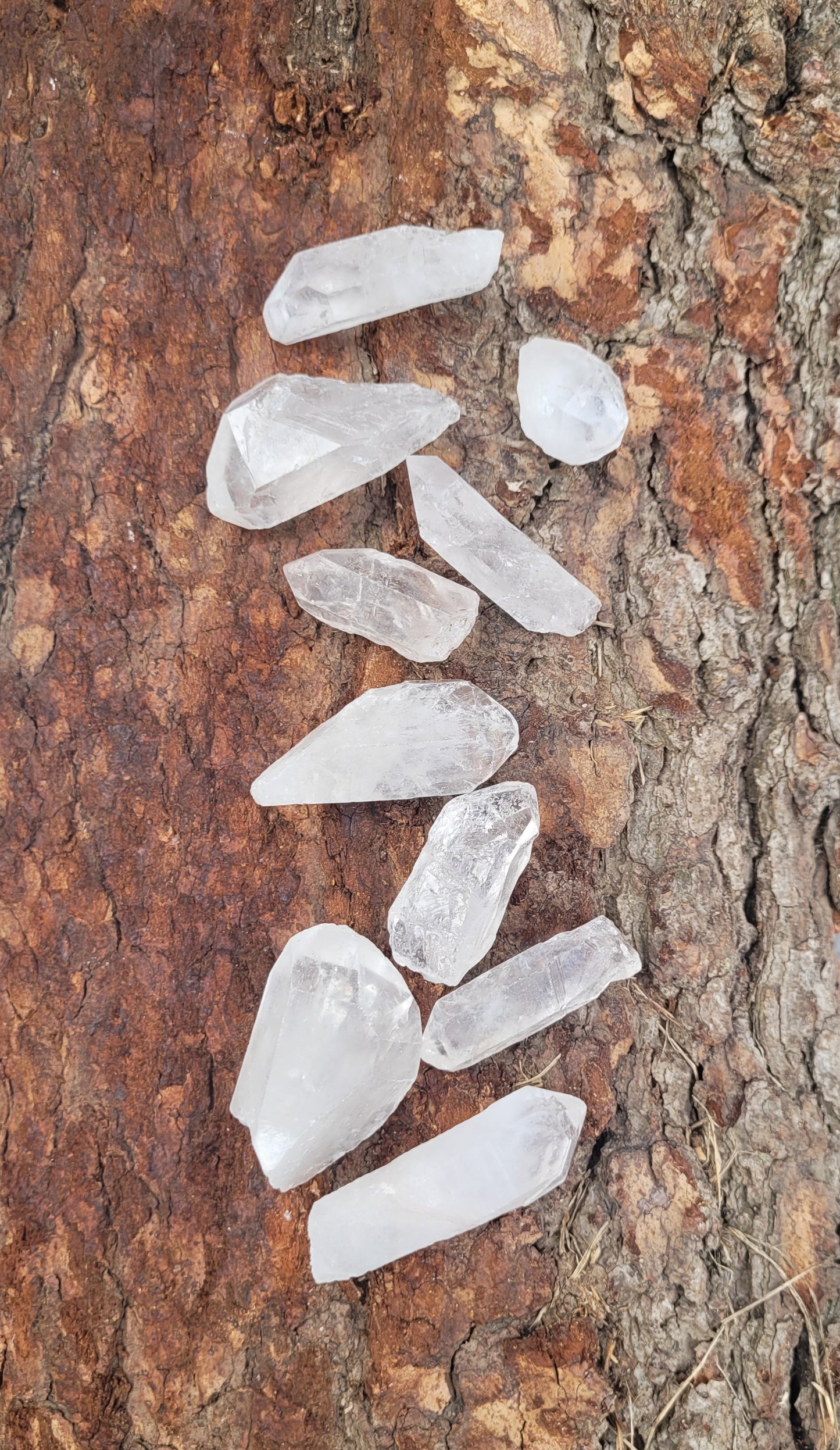 Clear Quartz Rough points